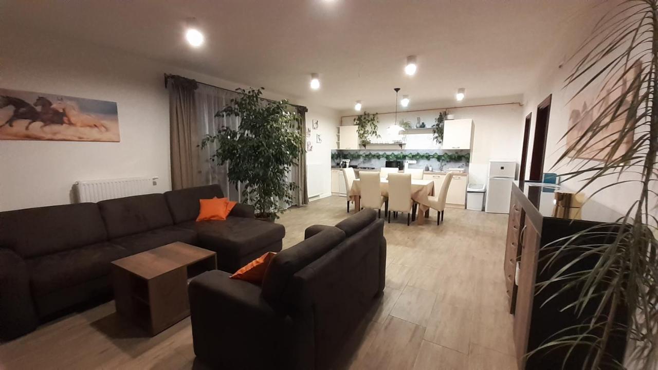 Bibic Apartman A Kapolnasnyek Экстерьер фото
