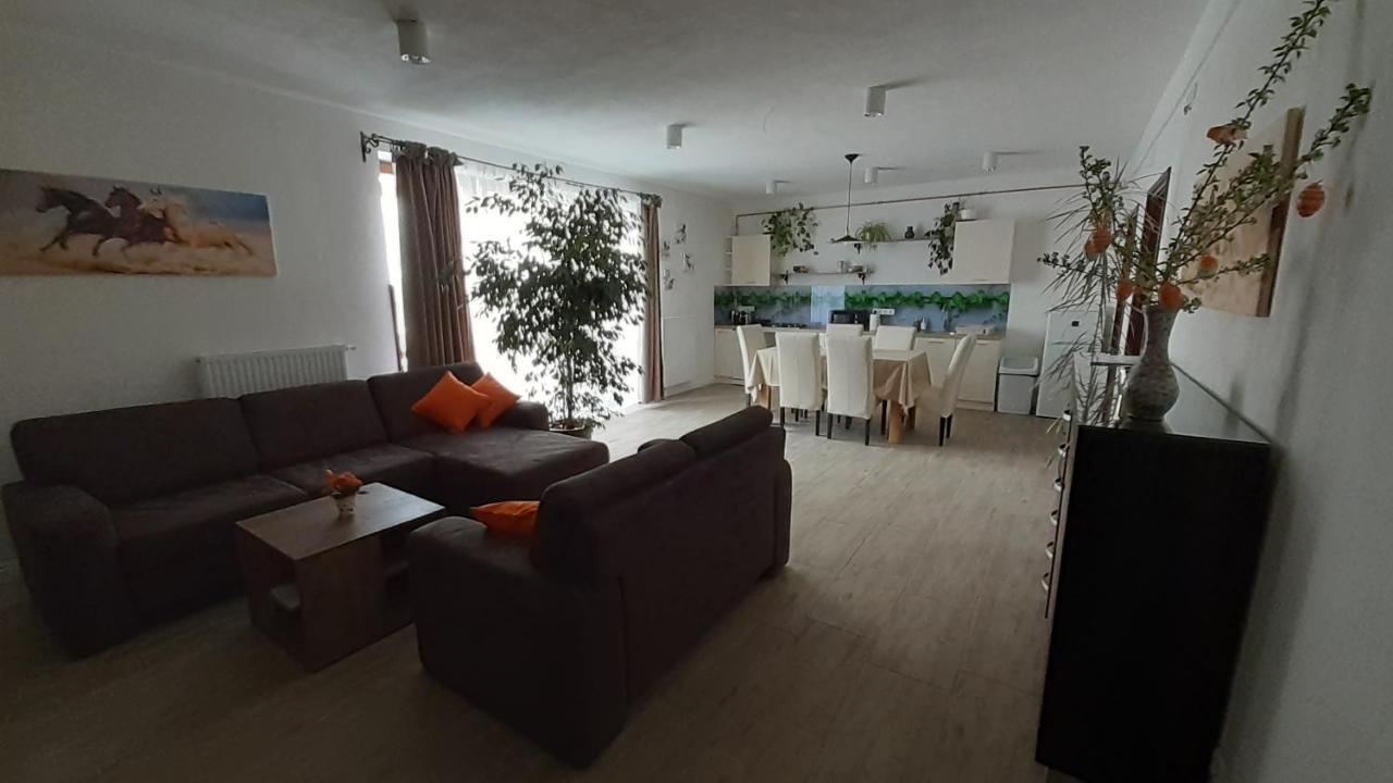 Bibic Apartman A Kapolnasnyek Экстерьер фото